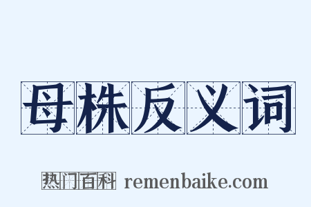母株反义词是什么意思的图片